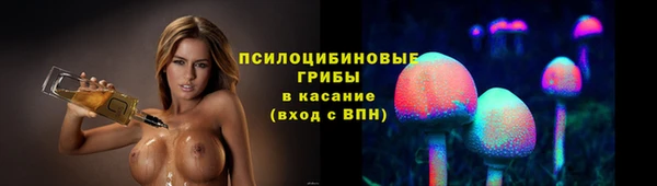 МДПВ Алзамай