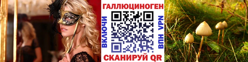 наркотики  MEGA вход  Галлюциногенные грибы Psilocybine cubensis  Кинель 