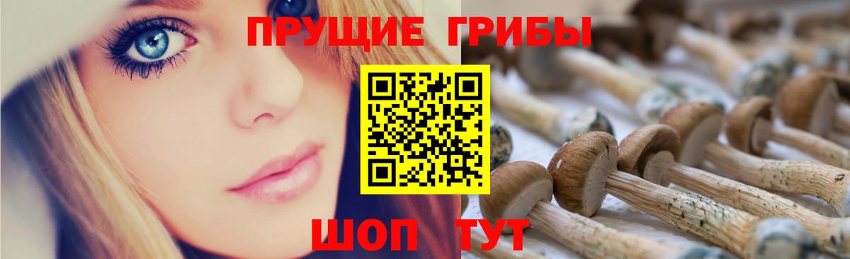 Псилоцибиновые грибы Psilocybe  Псилоцибиновые грибы мицелий  Вход с VPN  Кинель 